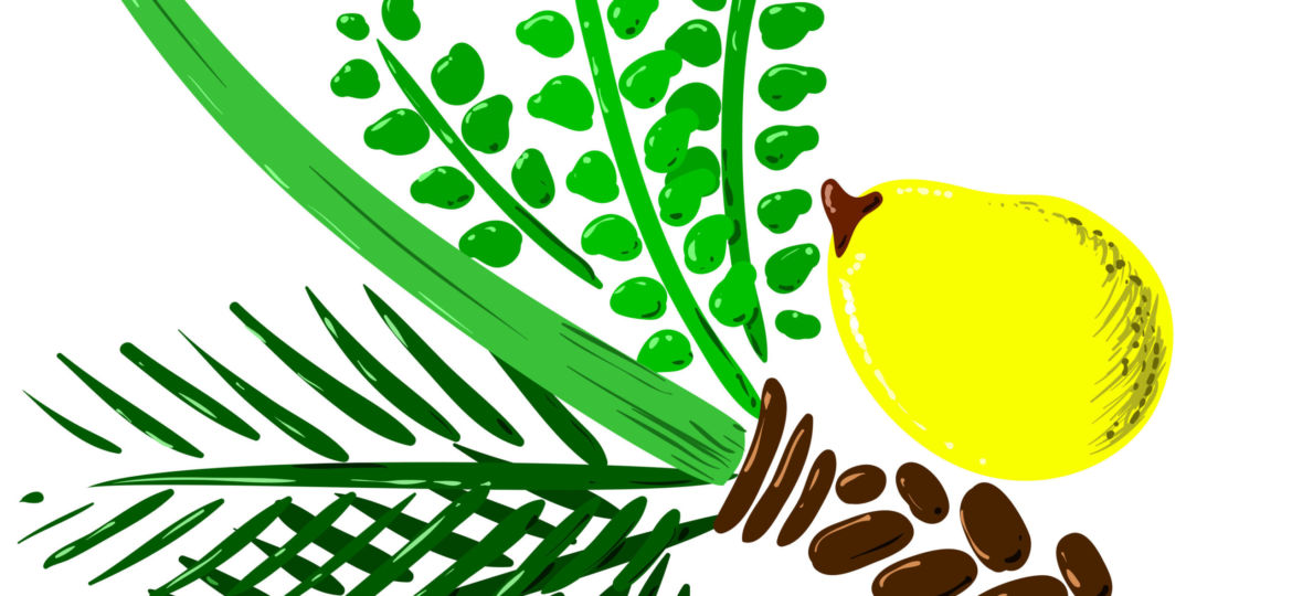 Lulav-Etrog