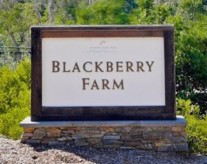 blackberry